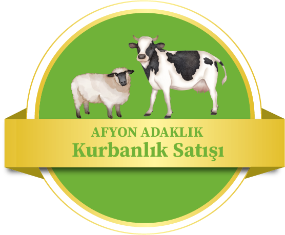 Afyon Adaklık Kurbanlık Satışı| Afyon Adaklık | Afyon Kurbanlık Satışı | Afyon Adaklık Kesimi | Afyon Et Restoranı